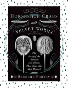 The cover of the nonfiction book, Horseshoe Crabs and Velvet Worms, featuring the topside and underside of a horseshoe crab.