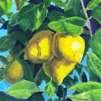 MikeH Lemons
