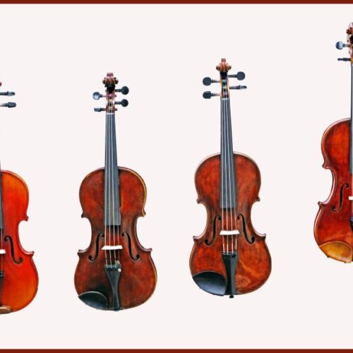 Photograph of four stringed instruments