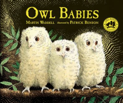 The book cover of Owl Babies, by Martin Waddell.