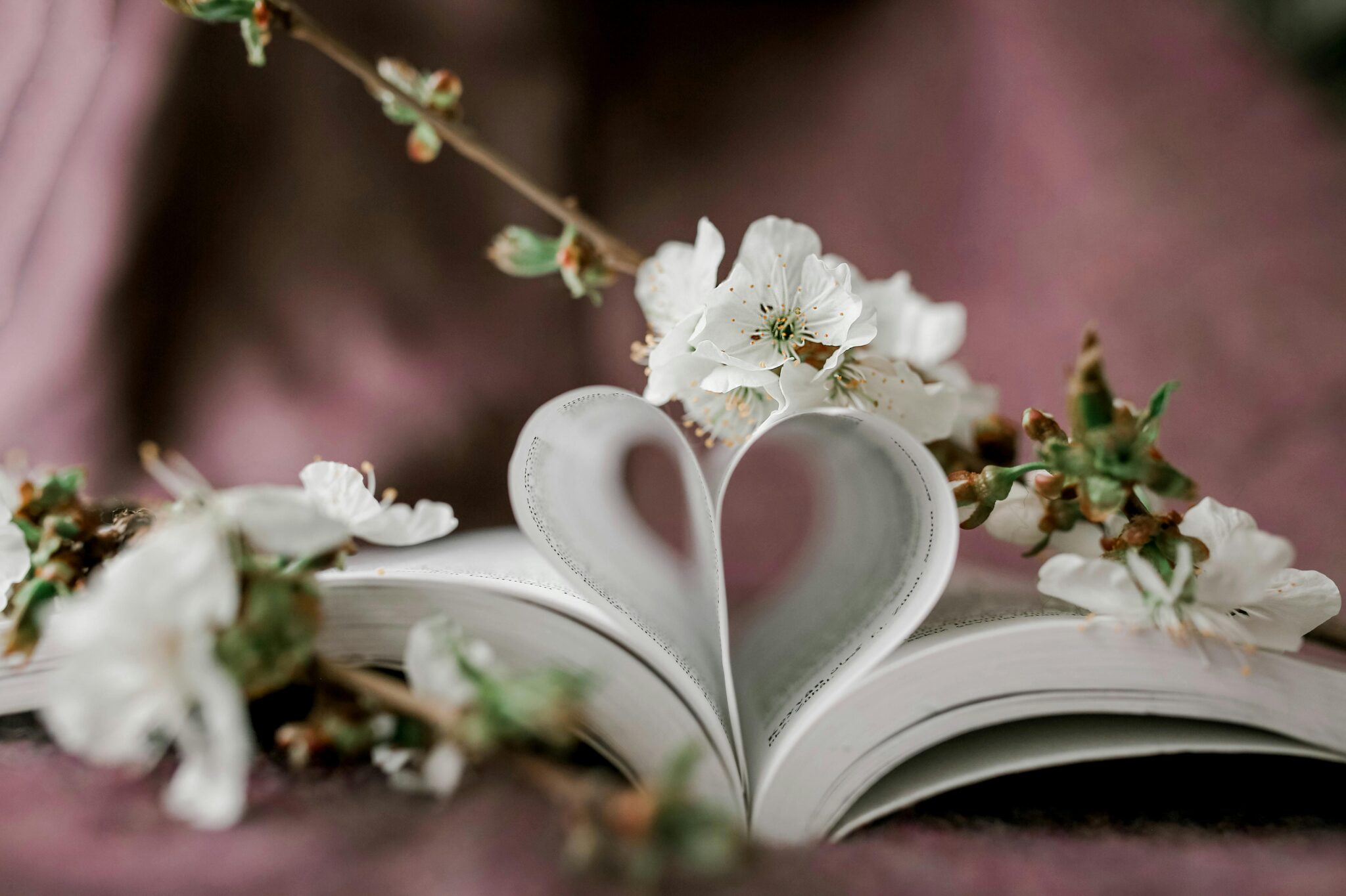 White flowers on book with folded heart shaped book pages.