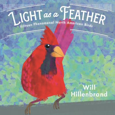 The book cover of Light as a Feather: Fiftenn Phenomenal North American Birds, by Will Hillenbrand.