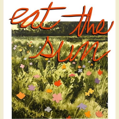 Photograph of a field with flowers painted on top. Text is painted on that reads eat the sun.