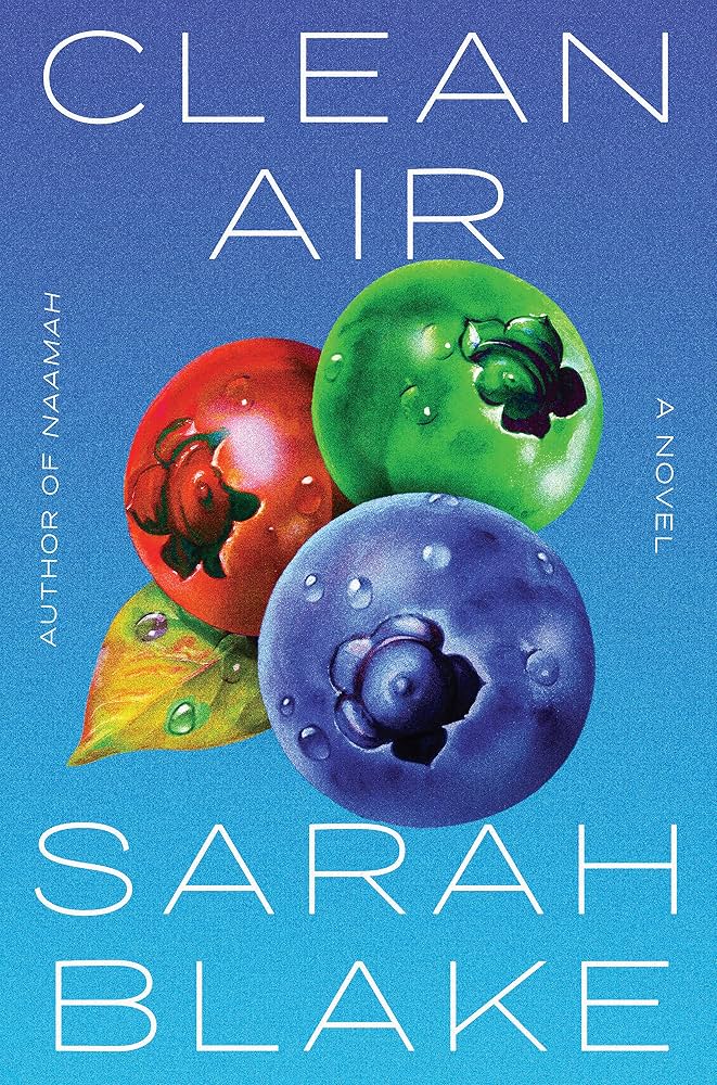 Book cover: Clean Air.