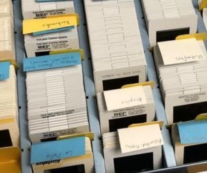 Slides Photograph of film slides in a box.