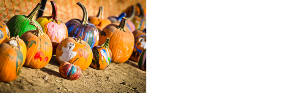 An image of multiple pumpkins that have been painted on sitting on the dirt ground. 